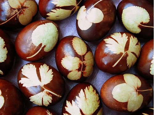 Creative Craft Ideas  Give you all sorts of good creative ideas, tutorials and instructional for your activities and hobbies.Natural Dyes Easter Egg: 